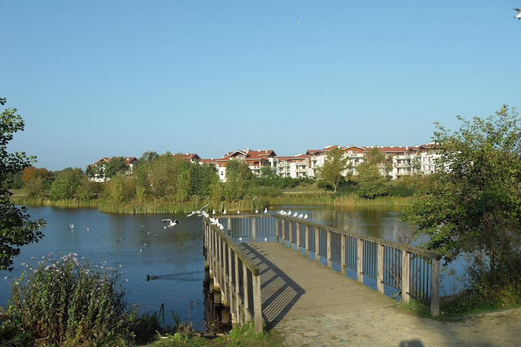 Appartamento Neptun House